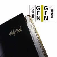 Large Print Gold Bible Indexing Tabs by Tabbies