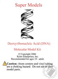 Deoxyribonocleic Acid (DNA) Molecular Model Kit (183 Pcs),Ryler Enterprises