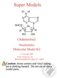 Nucleotides (Adenosine) Molecular Model Kit (318 Pcs),Ryler Enterprises