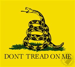 T-Shirt: Don't Tread on Me / Gadsden (Youth Medium / Child M),Gildan