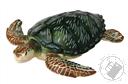 Green Turtle 4D Puzzle with Realistic Detail (22 Pieces for Ages 6 and Up) (Biology Model),4D Master