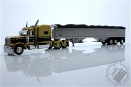 Peterbilt Model 379 with 70