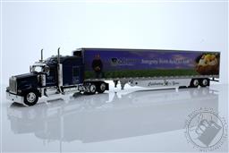 Alsum Farms 50th Anniversary - Kenworth W900L with 86