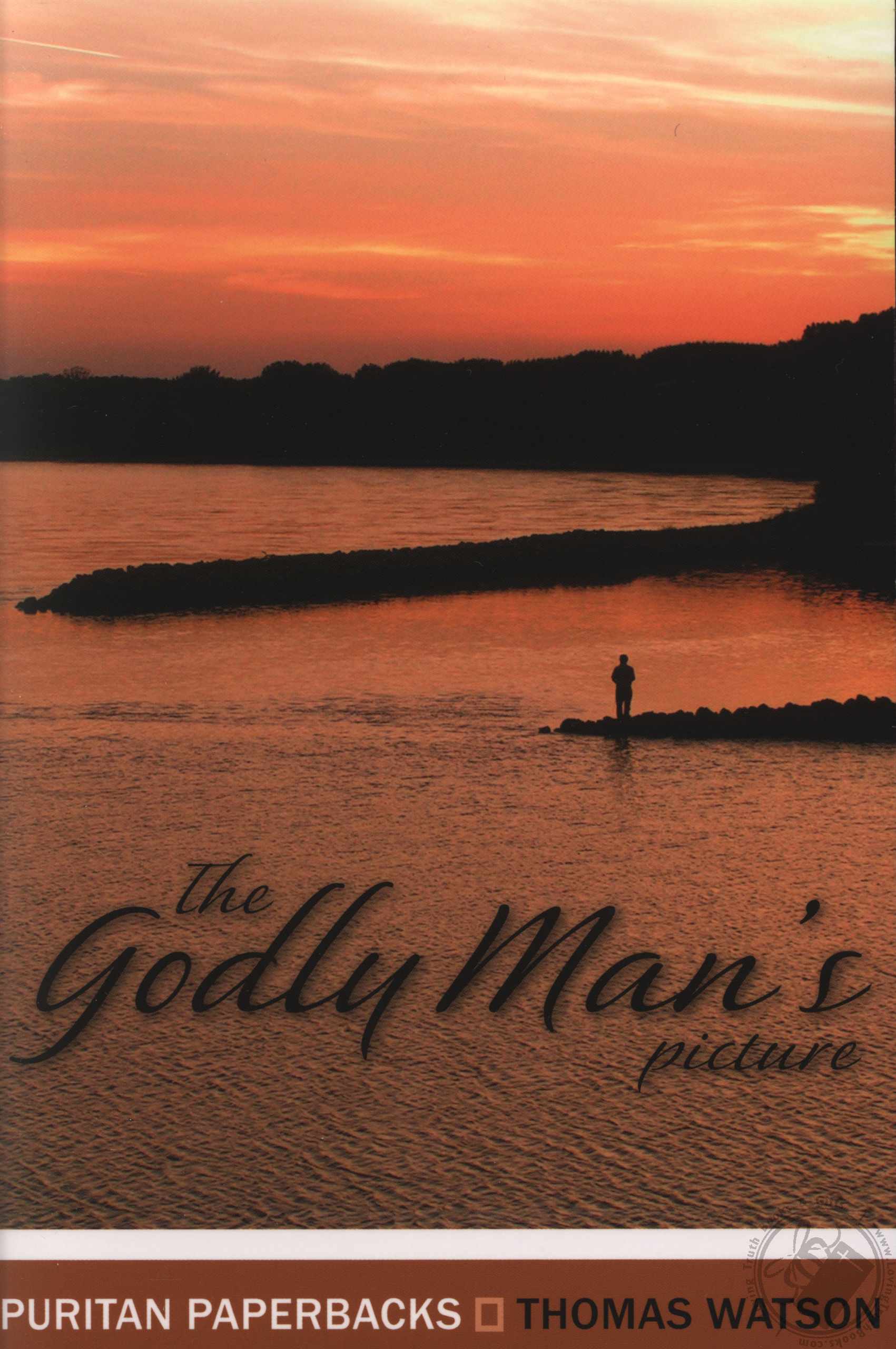 Birds of New York Audio CDs: Companion to the Birds of New York Field